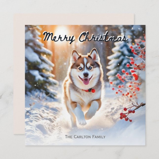 Cute Pomsky Dog In Snow Winter Merry Christmas Holiday Card (Front/Back)