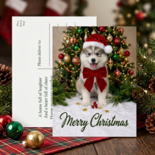 Cute Pomsky Puppy Dog Santa Lover Merry Christmas Holiday Postcard