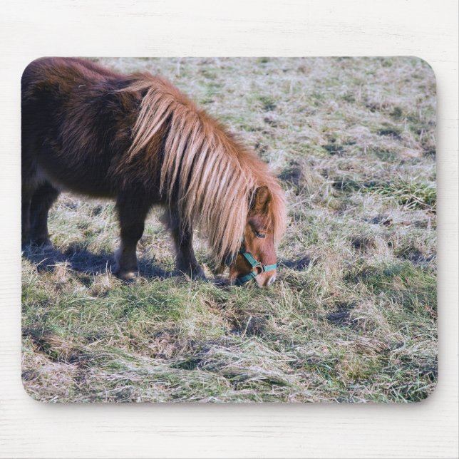 Cute pony grazing on the paddock. mouse mat (Front)