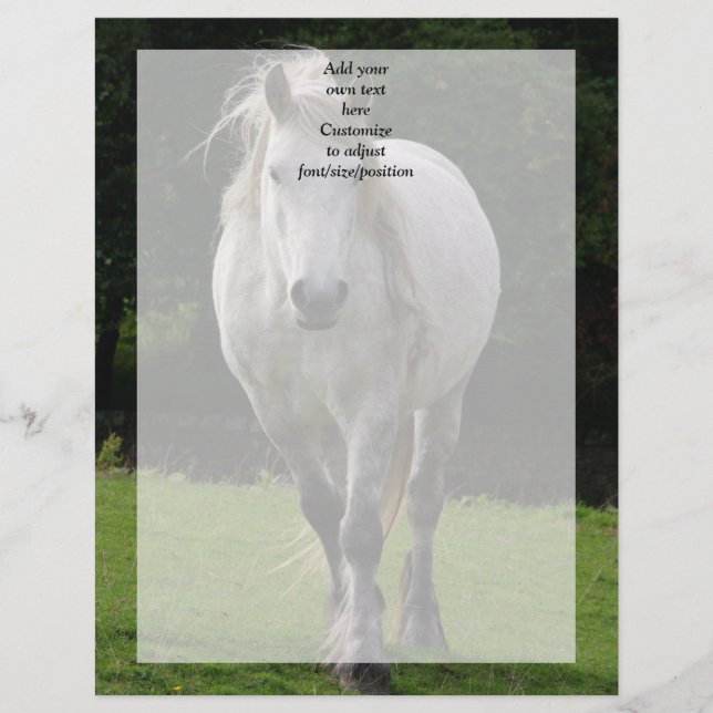 Cute pony photograph (Front)