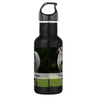 Cute pony photograph 532 ml water bottle