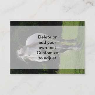 Cute pony photograph business card