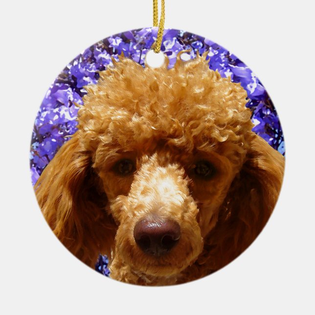 Cute Poodle Ceramic Tree Decoration (Front)