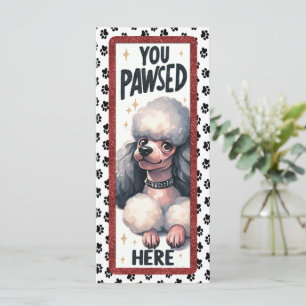 Cute Poodle Dog