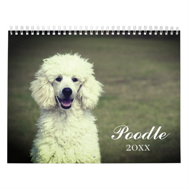 Cute Poodle Dog  Calendar (Cover)