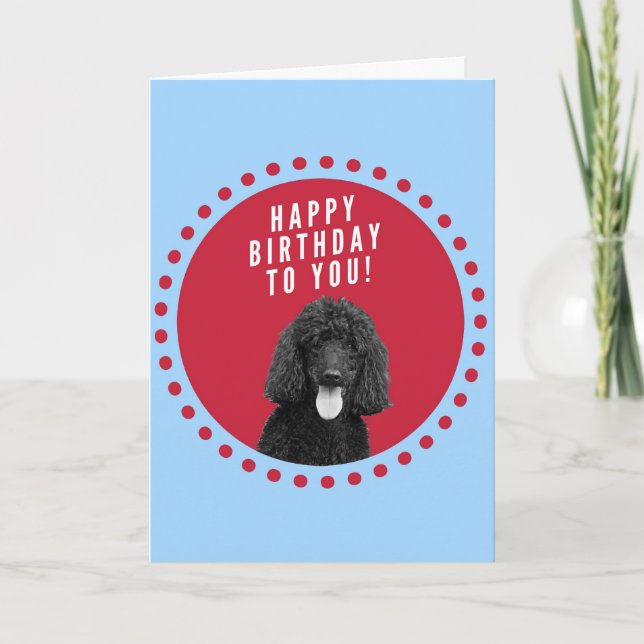 Cute Poodle Dog Happy Birthday Red Dots Circle Card (Front)