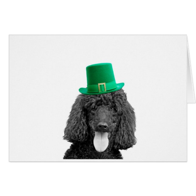 Cute Poodle Dog Hat St. Patrick Day (Front Horizontal)