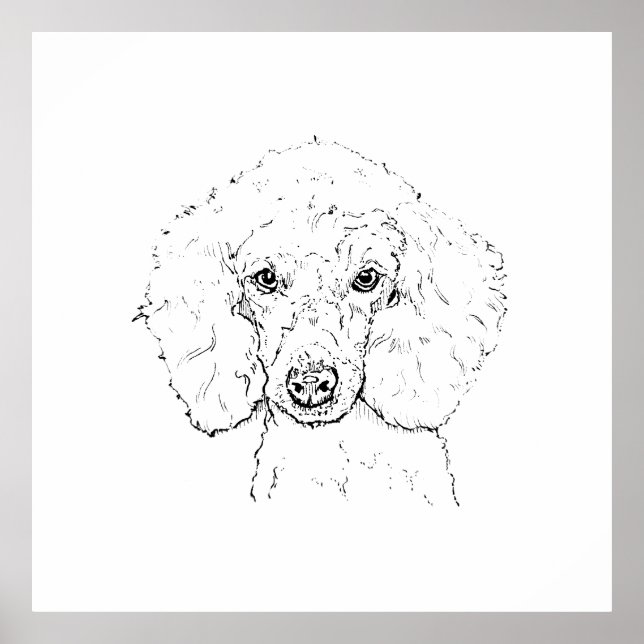 Cute Poodle Dog Illustration, Hand Drawn Poster (Front)
