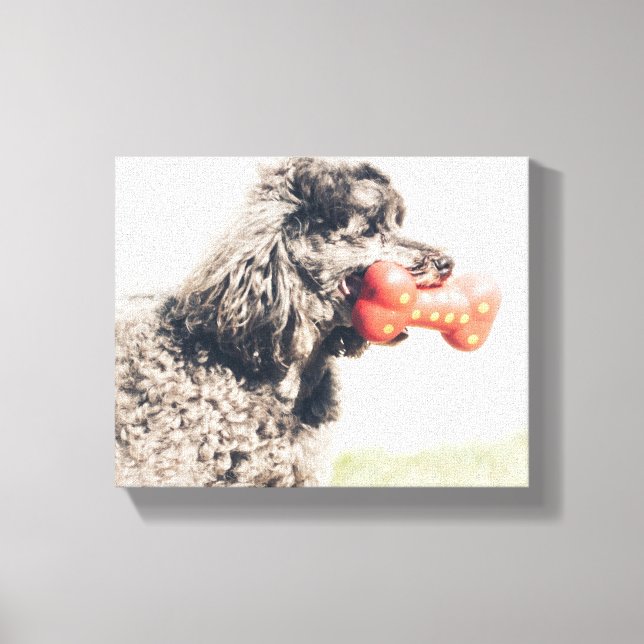 Cute Poodle Dog With A Toy Bone Canvas Print (Front)
