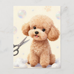 Cute Poodle Grooming Bubbles Scissors Postcard