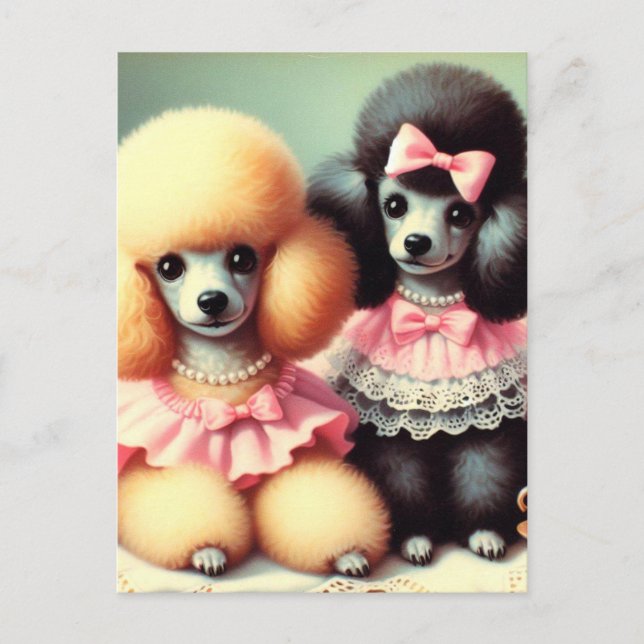 Cute Poodle Illustration Postcard (Front)