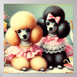 Cute Poodle Illustration Poster