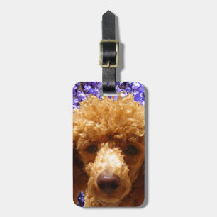 Cute Poodle Luggage Tag