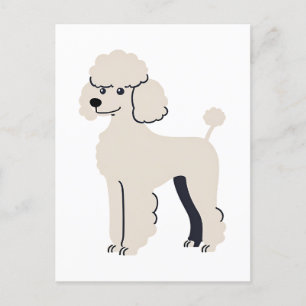Cute Poodle Postcard