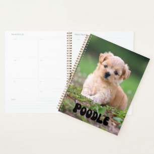 Cute Poodle Puppy Calendar Planner