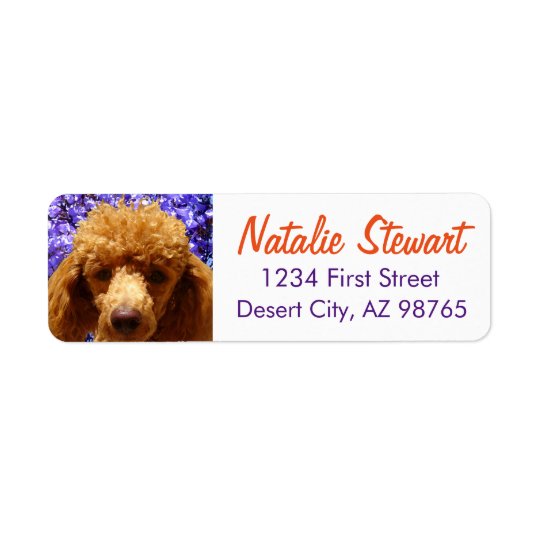 Cute Poodle Return Address Label