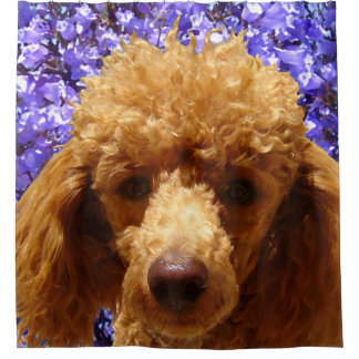 Cute Poodle Shower Curtain