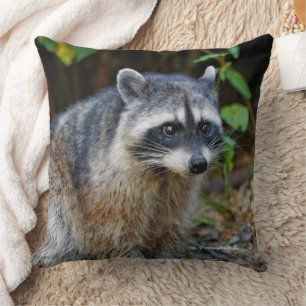 Cute Posing North American Racoon Cushion
