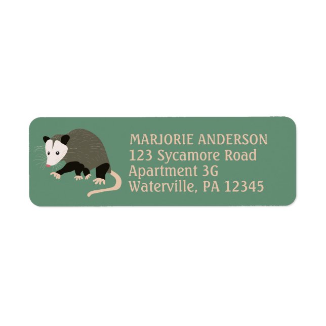 Cute Possum Illustration Green Return Address (Front)
