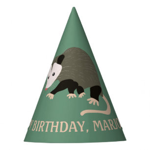 Cute Possum Illustration Light Green Personalised Party Hat