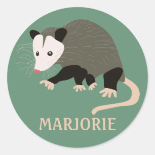 Cute Possum Illustration Personalised Light Green Classic Round Sticker