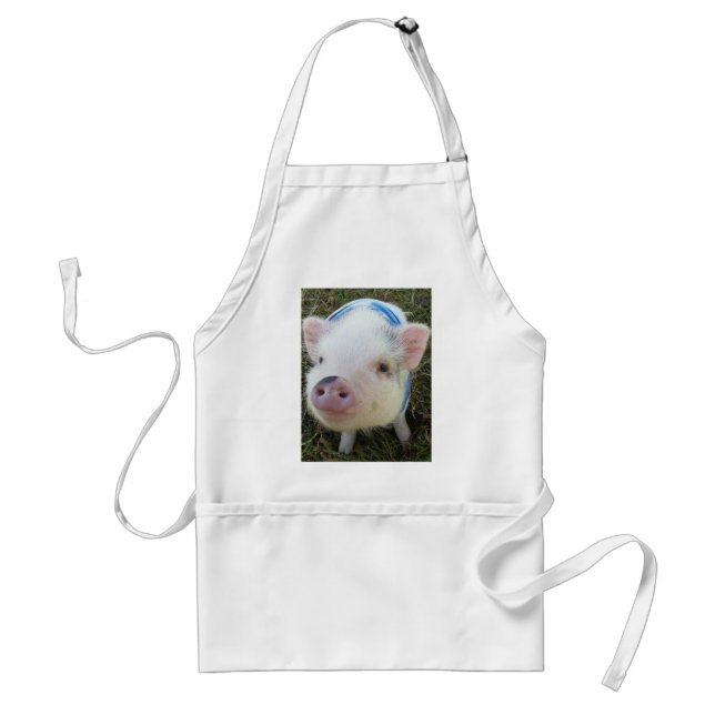 Cute Pot Belly Pig Standard Apron (Front)