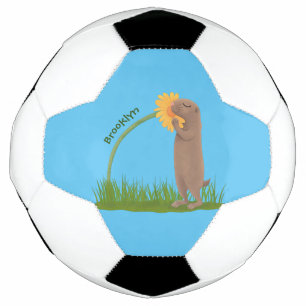 Cute prairie dog sniffing flower cartoon football