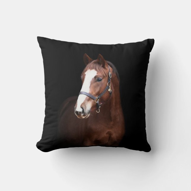 Cute pretty foal horse black background cushion (Front)
