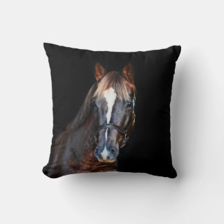 Cute pretty foal horse black background cushion