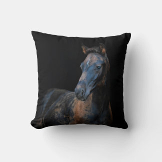 Cute pretty foal horse black background cushion