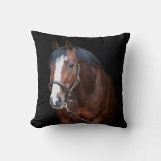 Cute pretty foal horse black background cushion
