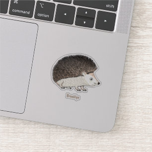 Cute prickly hedgehog cartoon illustration