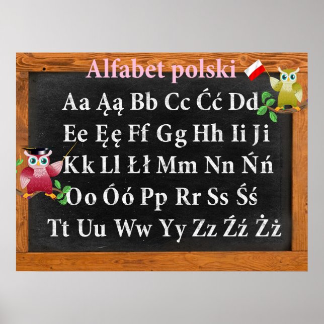 Cute Professor Owl Polish Alphabet Alfabet polski Poster (Front)