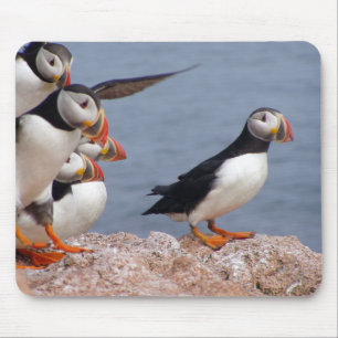Cute Puffins Mousepad