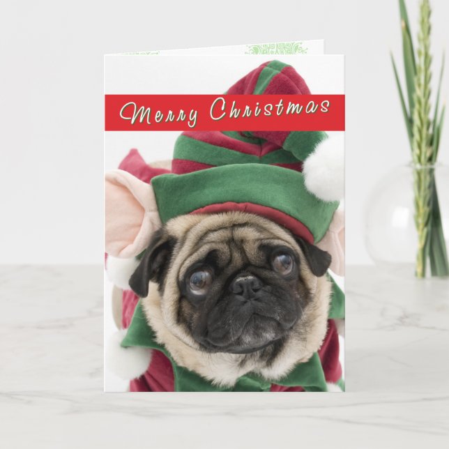 Cute Pug Christmas card (Front)