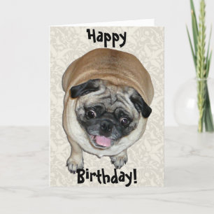 Cute Pug Dog Birthday Card