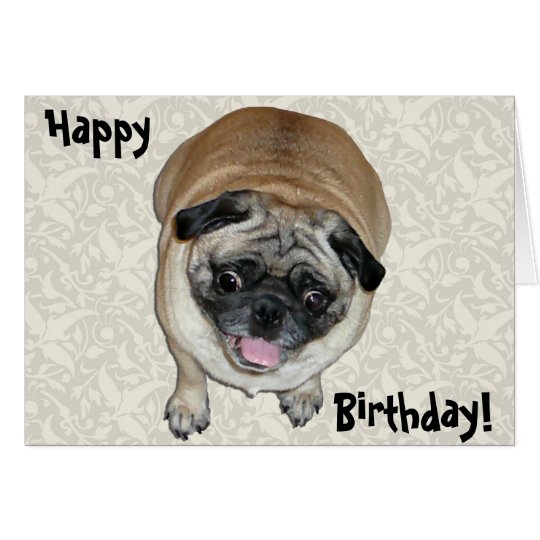 Cute Pug Dog Birthday Card