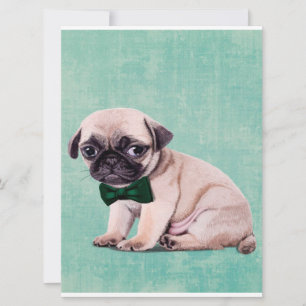 Cute Pug Dog Gift  Cute Dog For Birthday 