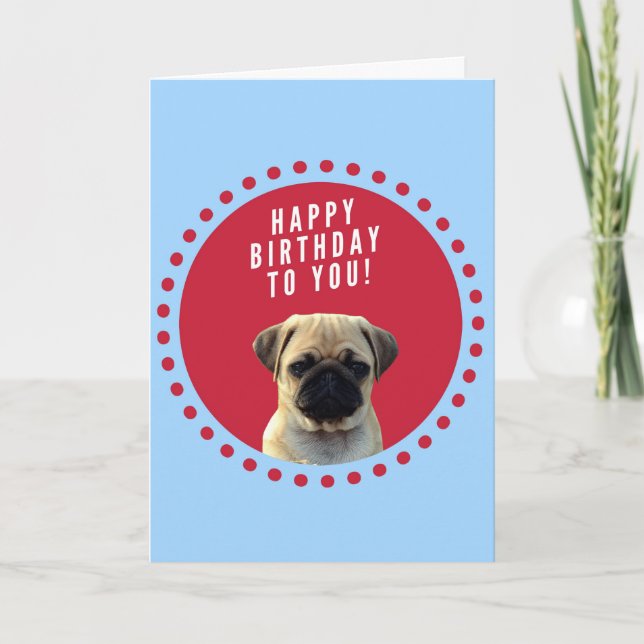 Cute Pug Dog Happy Birthday Blue Greeting Card (Front)