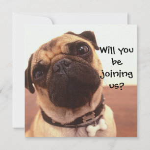 Cute Pug Dog Personalised Party Invites