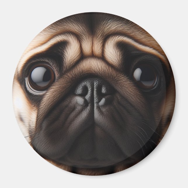 Cute Pug Face Pug Dogs Magnet (Front)