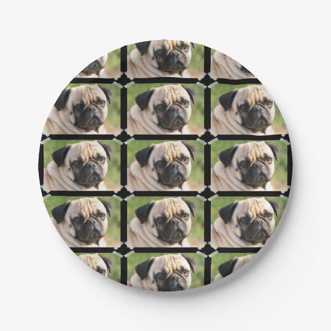 Cute Pug Paper Plate (Front)