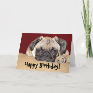 Cute Pug Puppy Birthday Wish Card