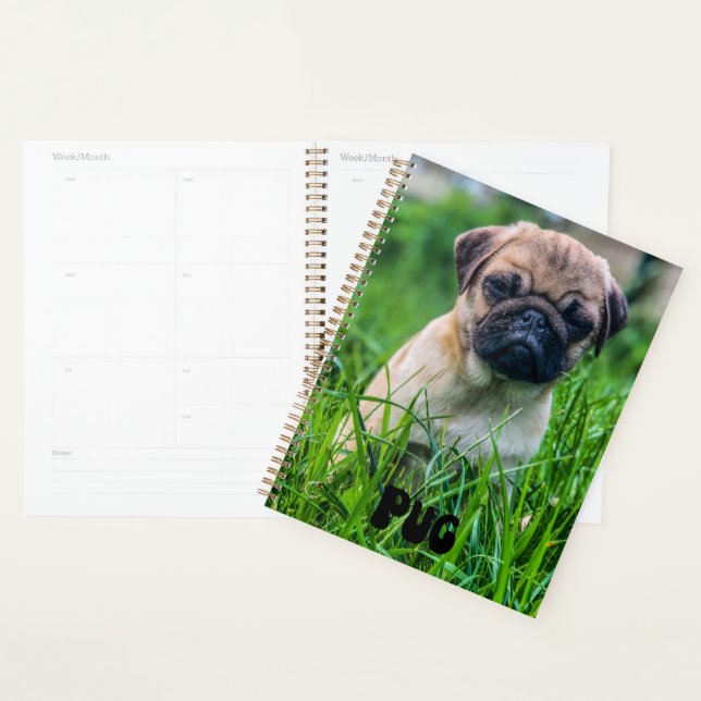 Cute Pug Puppy Calendar Planner (Display)