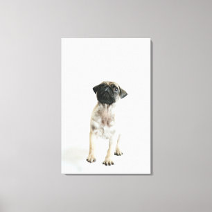 Cute Pug Puppy Canvas Print