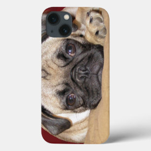Cute Pug Puppy iPhone 13 Case