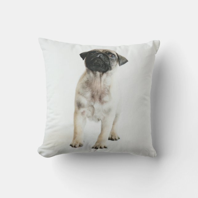 Cute Pug Puppy Cushion (Front)