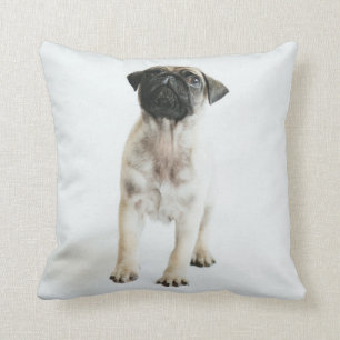 Cute Pug Puppy Cushion