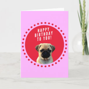 Cute Pug Puppy Dog Happy Birthday Greeting Card