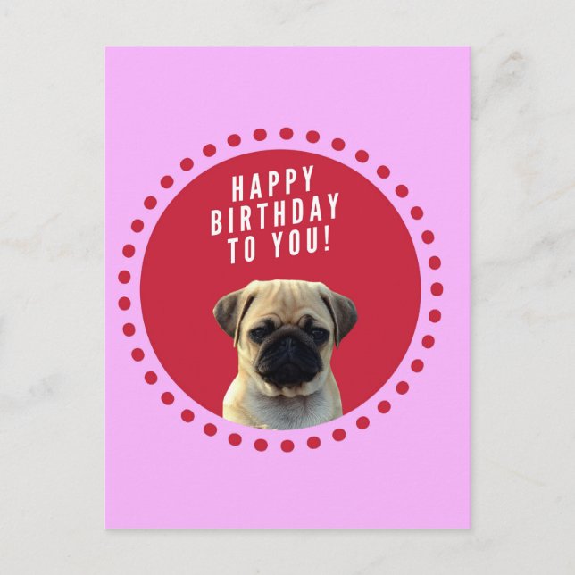 Cute Pug Puppy Dog Happy Birthday Red Dots Pink Postcard (Front)
